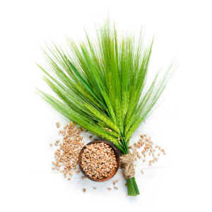 Nutrity – antyoksydacyjna ochrona organizmu