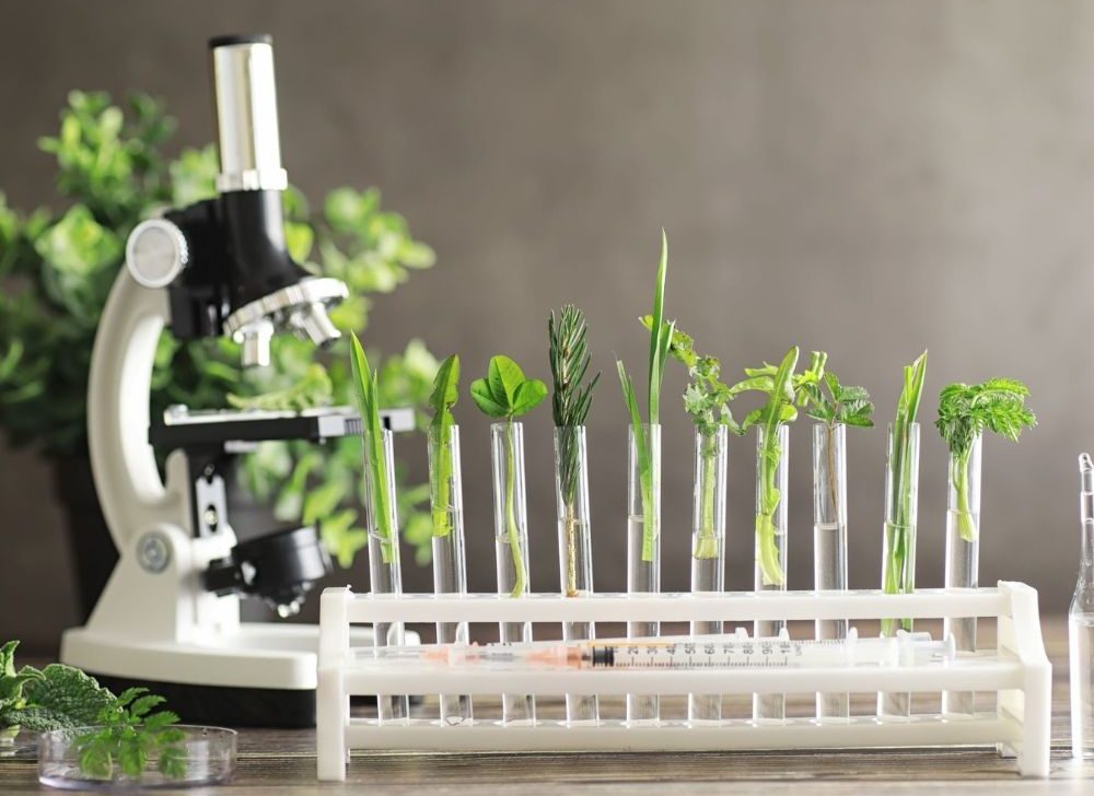 Longevity – zdrowie na poziomie komórkowym