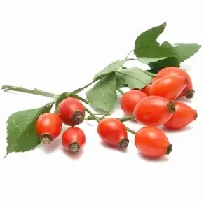 Longevity Nutrity – witalność w każdym wieku